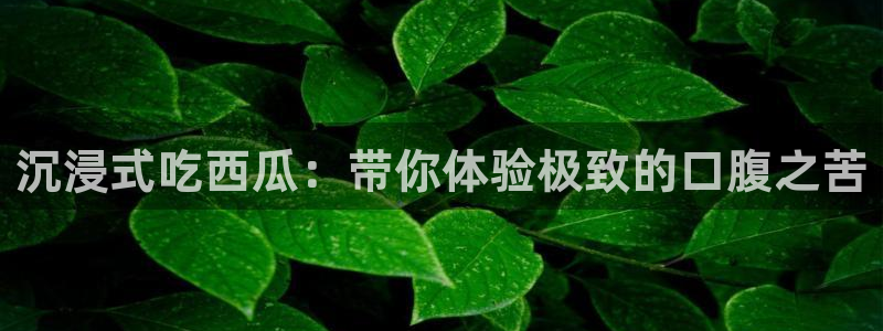 51cg吃瓜今日吃瓜：沉浸式吃西瓜：带你体验极致的口腹之苦