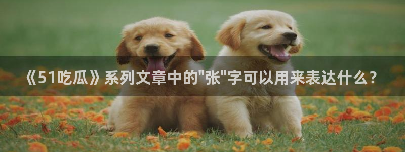 1吃瓜：《51吃瓜》系列文章中的\