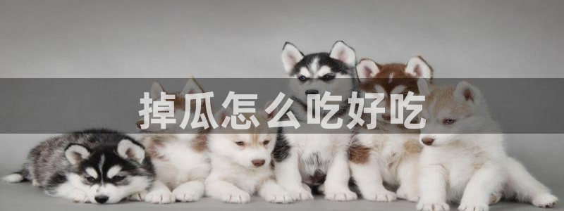 51cg吃瓜网今日吃瓜：掉瓜怎么吃好吃