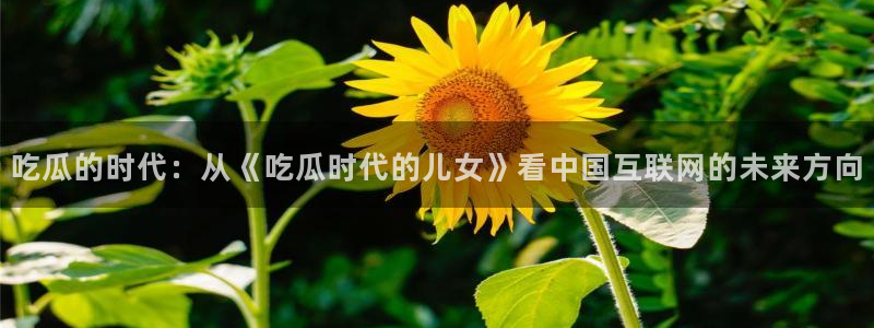 长生武道:从九龙夺嫡开始吃瓜
