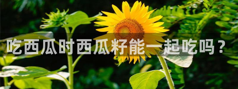 黑料下载：吃西瓜时西瓜籽能一起吃吗？