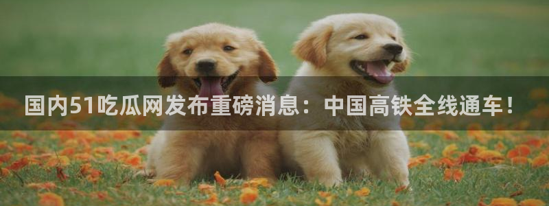 51吃瓜今日必吃刀刀