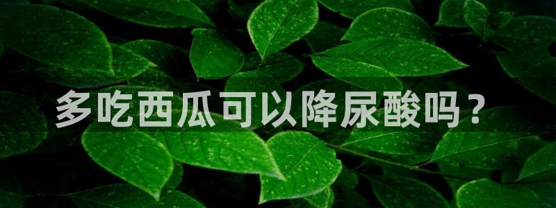 51吃瓜最新官网是多少