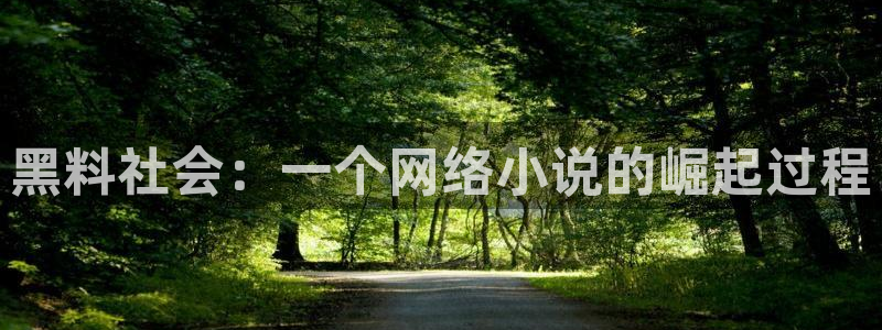 51吃瓜网每日榜单今日：黑料社会：一个网络小说的崛起过程