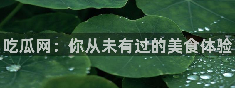 51吃瓜群众路线