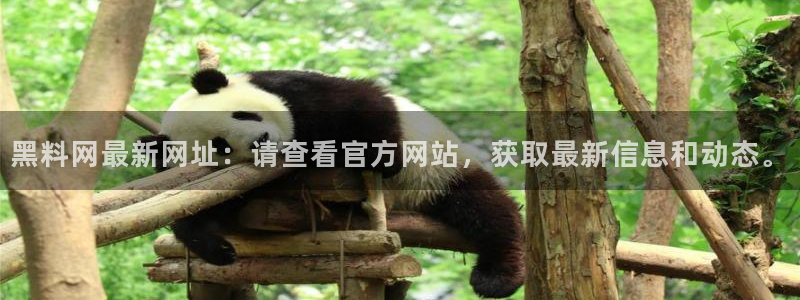 黑料黑料：黑料网最新网址：请查看官方网站，获取最新信息和动态。