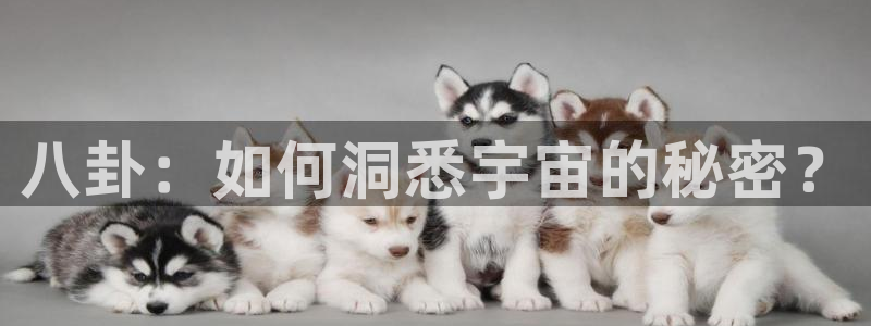 51cgfun吃瓜网怎么进