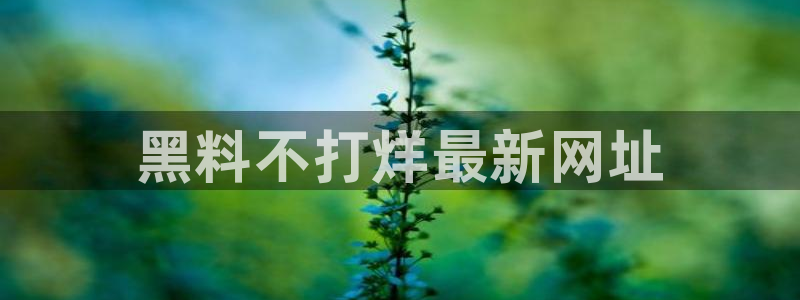51吃瓜全网更新最快：黑料不打烊最新网址