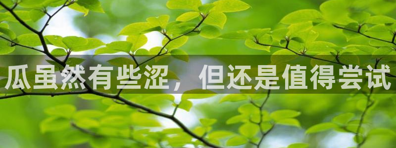 911爆料网红吃瓜：瓜虽然有些涩，但还是值得尝试