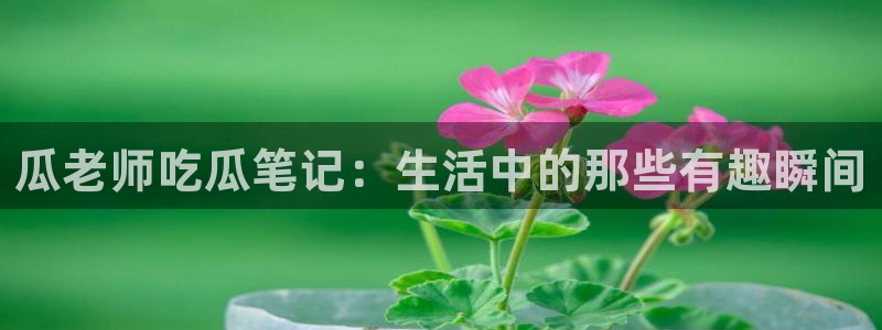 91吃瓜今日吃瓜入口：瓜老师吃瓜笔记：生活中的那些有趣瞬间