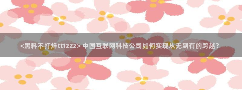 吃瓜是什么意思：<黑料不打烊tttzzz> 中国互联网科技公司如何实现从无到有的跨越？