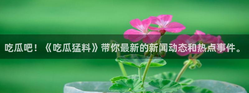 豆瓣自由吃瓜基地：吃瓜吧！《吃瓜猛料》带你最新的新闻动态和热点事件。