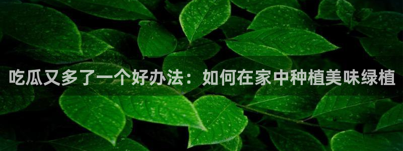 51吃瓜网今日吃瓜热门大瓜：吃瓜又多了一个好办法：如何在家中种植美味绿植