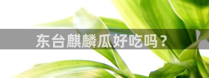 吃瓜后嗓子痒怎么回事：东台麒麟瓜好吃吗？