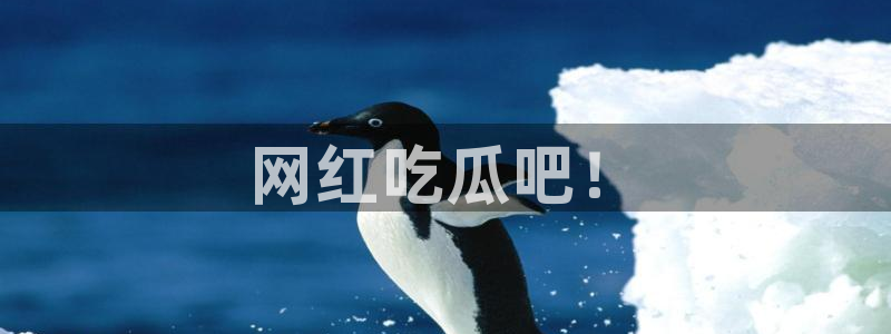 对照组在大杂院吃瓜[七零]：网红吃瓜吧！