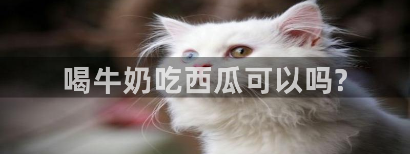 废太子在七零吃瓜看戏：喝牛奶吃西瓜可以吗?