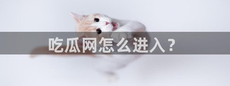 51吃瓜网 张津瑜：吃瓜网怎么进入？