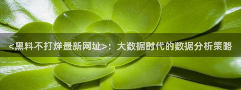 51cg热门大瓜今日吃瓜:<黑料不打烊最新网址>:大数据时代的数据分析策略