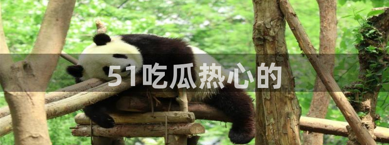 黑料软件:51吃瓜热心的
