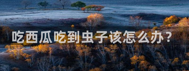 51cg每日吃瓜