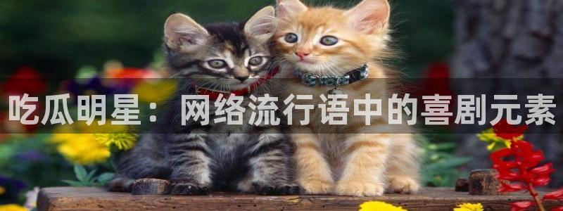 吃瓜胃酸怎么办：吃瓜明星：网络流行语中的喜剧元素