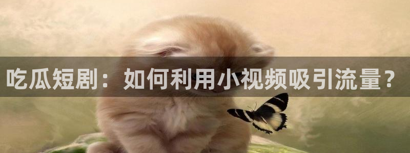 51cgfun每日吃瓜