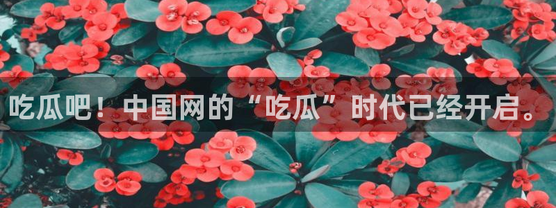 nanataipei51吃瓜：吃瓜吧！中国网的“吃瓜”时代已经开启。